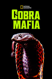 Cobra Mafia' Poster