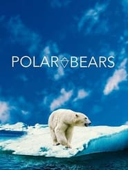 Polar Bears' Poster