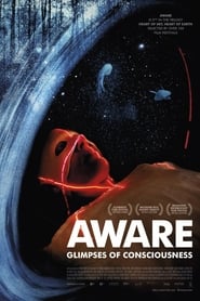 Aware Glimpses of Consciousness' Poster
