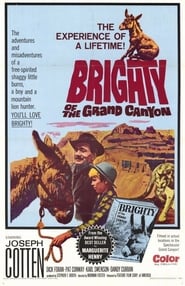 Brighty of the Grand Canyon' Poster