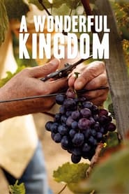 A Wonderful Kingdom' Poster