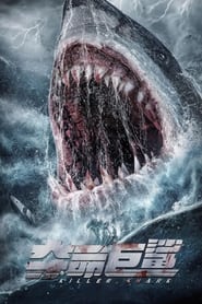 Killer Shark' Poster