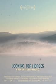 Looking for Horses' Poster
