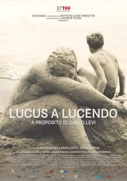 Lucus a Lucendo  A proposito di Carlo Levi' Poster