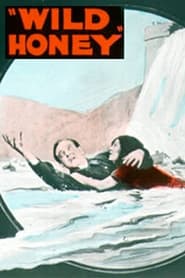 Wild Honey' Poster