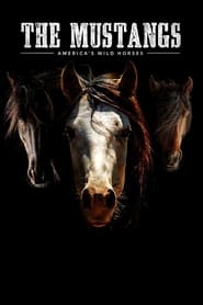 The Mustangs Americas Wild Horses' Poster