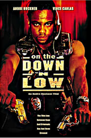 On the Down n Low' Poster