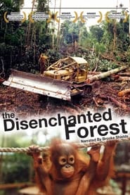 Disenchanted Forest' Poster
