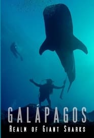 Galapagos Realm Of Giant Sharks' Poster