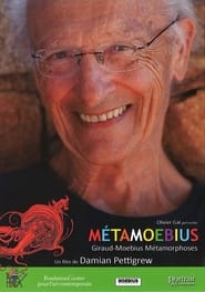 MetaMoebius' Poster