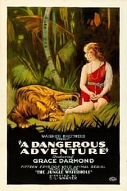 A Dangerous Adventure' Poster