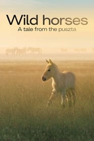 Wild Horses  A Tale From The Puszta' Poster