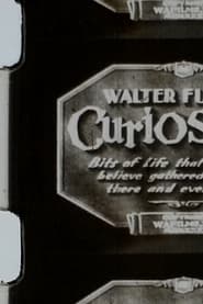 Walter Futters Curiosities' Poster