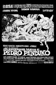 Ang Mahiwagang Daigdig ni Pedro Penduko' Poster
