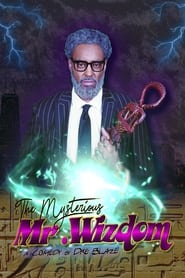 The Mysterious Mr Wizdom' Poster
