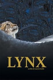 Lynx' Poster