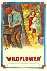 Wildflower' Poster