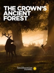 The Crowns Ancient Forest' Poster