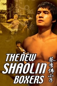 The New Shaolin Boxers' Poster