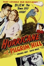 Hurricane at Pilgrim Hill' Poster