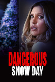 Dangerous Snow Day' Poster