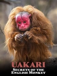 Uakari Secrets of the English Monkey' Poster