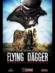 Flying Dagger' Poster
