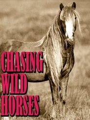 Chasing Wild Horses' Poster