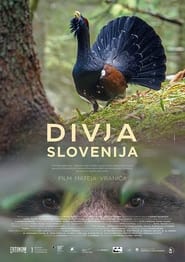 Wild Slovenia' Poster