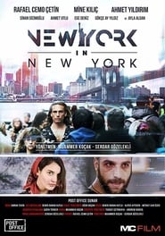 New York in New York' Poster
