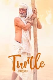 Turtle' Poster