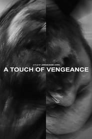 A Touch of Vengeance' Poster