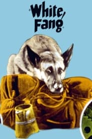 White Fang' Poster
