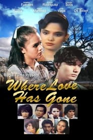 Where Love Has Gone' Poster
