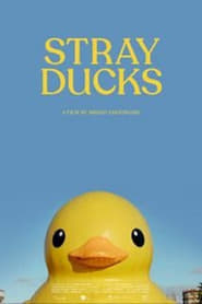 Stray Ducks' Poster