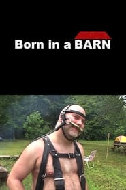 Born in a Barn' Poster