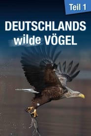 Deutschlands wilde Vgel' Poster