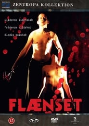 Flnset' Poster