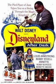 Disneyland After Dark' Poster