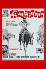 The Tenderfoot' Poster