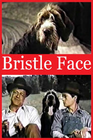 Bristle Face' Poster