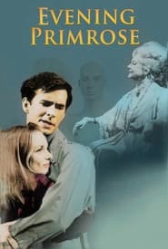 Evening Primrose' Poster