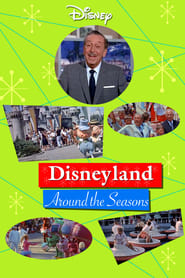 Disneyland Around the Seasons' Poster