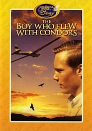 The Boy Who Flew with Condors' Poster