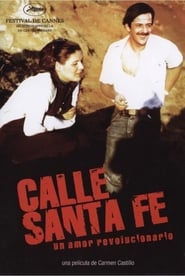Calle Santa Fe' Poster