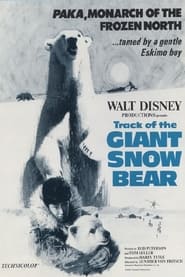 Snow Bear' Poster