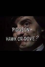 Pidgeon  Hawk or Dove