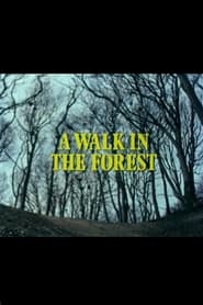 A Walk in the Forest' Poster