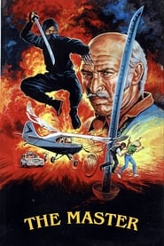 Master Ninja' Poster