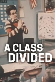 A Class Divided' Poster